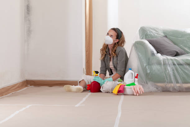 Reliable Black Mold Remediation contractor in New Cumberland, PA by Car Mold Remediation
